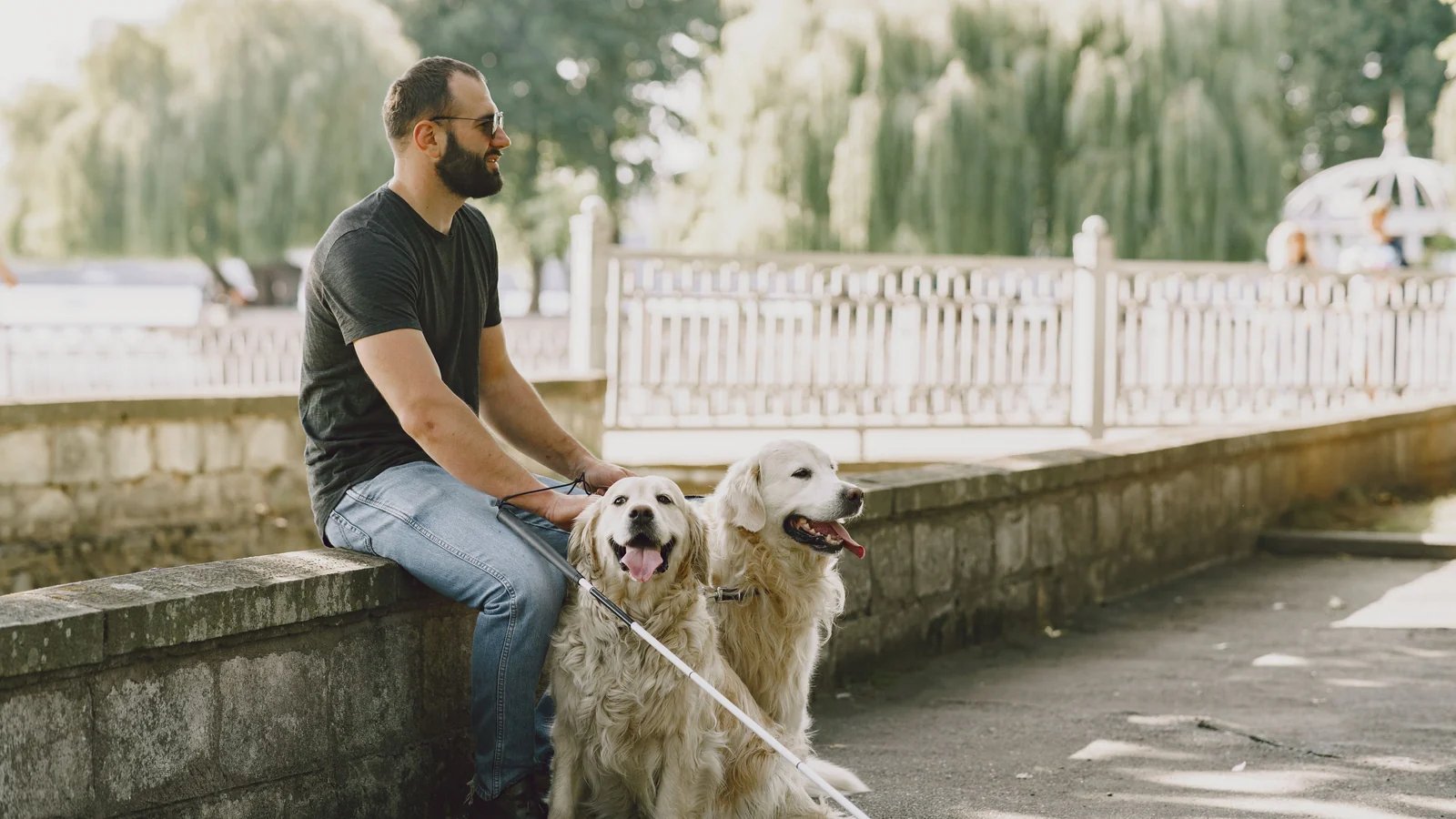 Homem de óculos escuros sentado em um muro de pedra em um parque, com dois cães golden retriever de coleira ao lado e uma bengala branca apoiada no chão