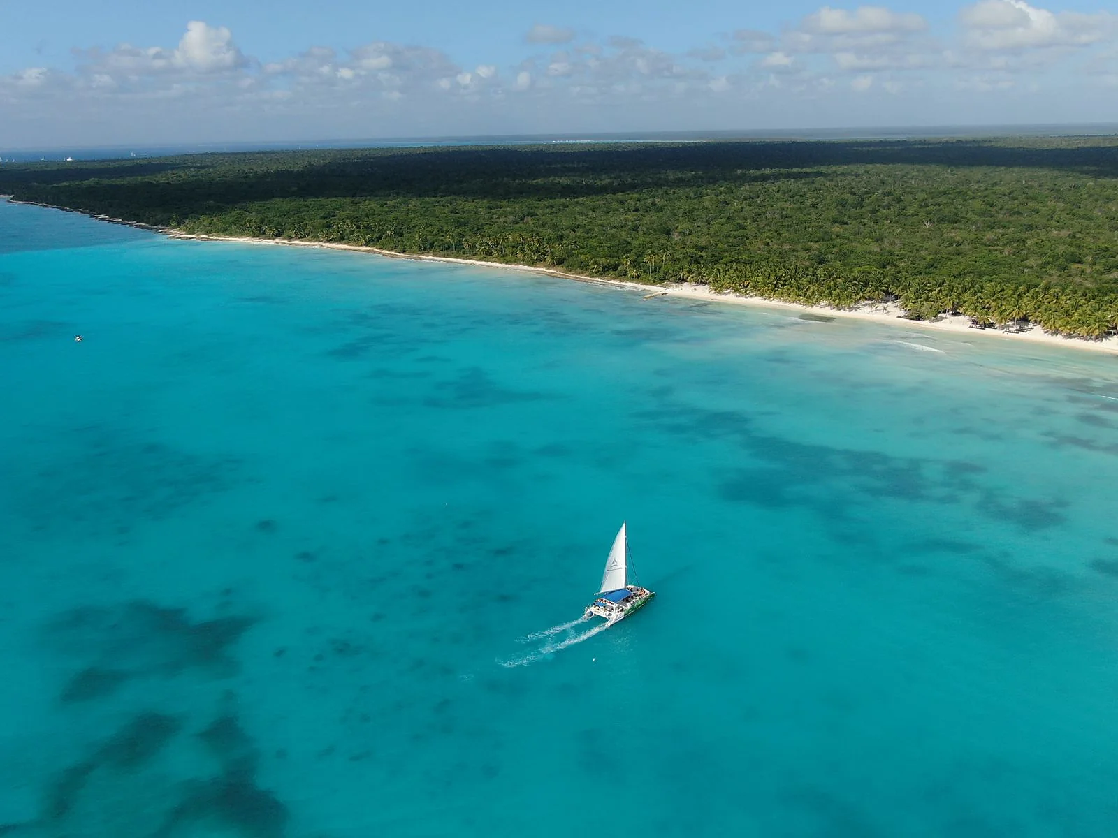 Vista aérea de um catamarã de vela branca navegando sobre mar turquesa transparente, com faixa de areia clara e mata de coqueiros ao fundo