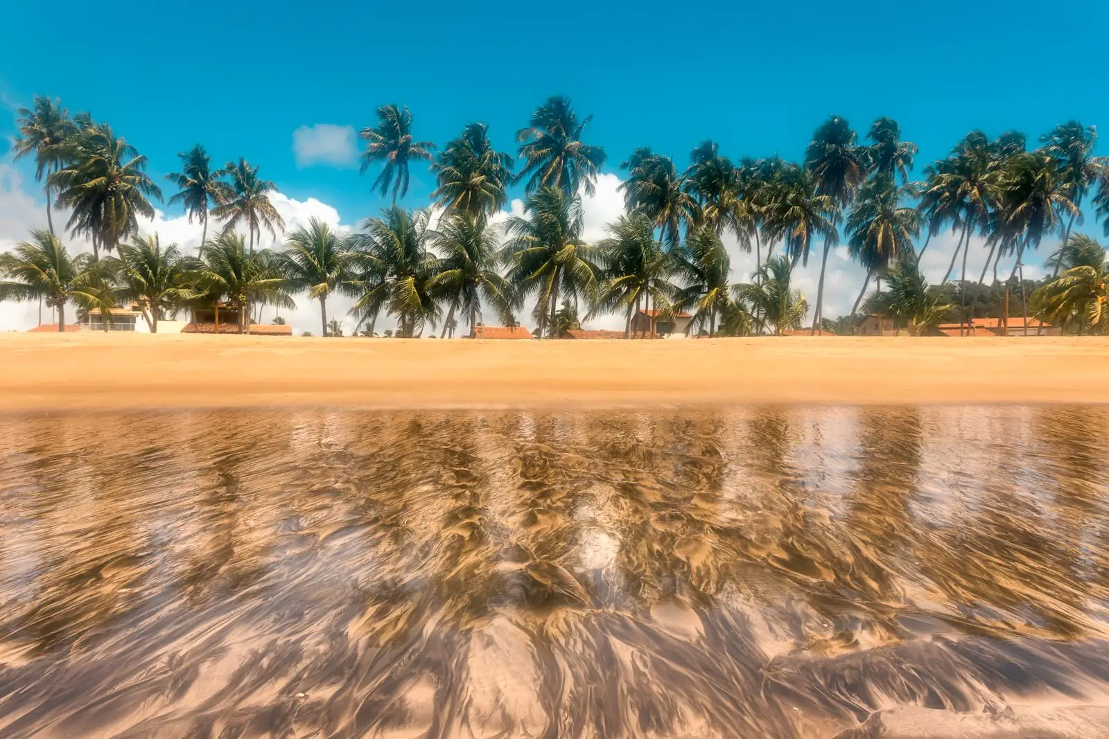 Fileira de coqueiros altos atrás de uma faixa de areia dourada, com casas de telhado vermelho entre as árvores, céu azul com nuvens brancas e a água rasa da praia refletindo os coqueiros em primeiro plano