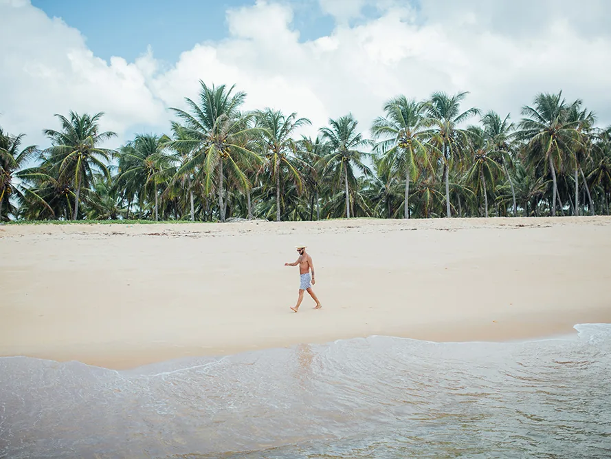 Praia de Barra de São Miguel, com coqueiros e areia clara