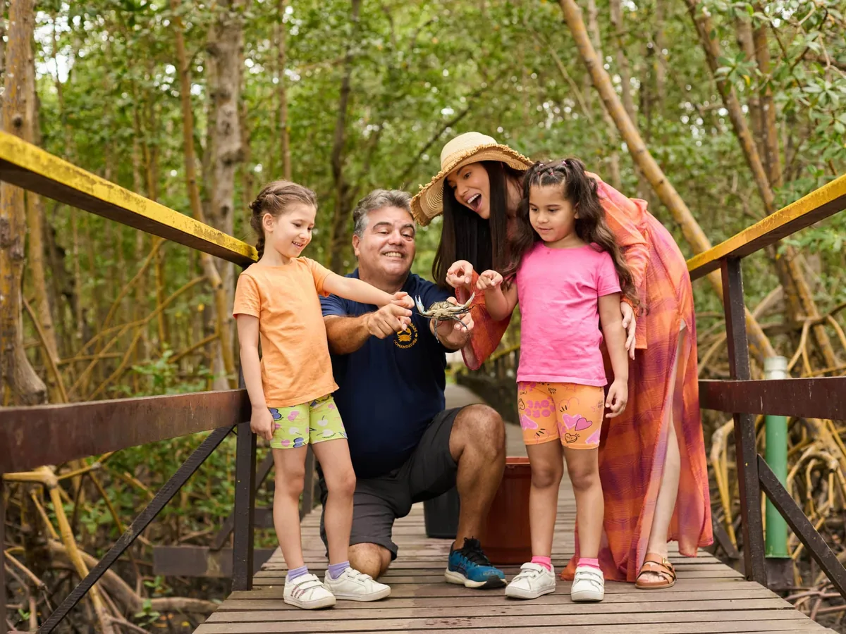 Família com duas meninas olhando um caranguejo na Passarela dos Caranguejos, no manguezal da ilha