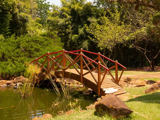 Ponte de madeira sobre o lago do jardim japonês do Aguativa