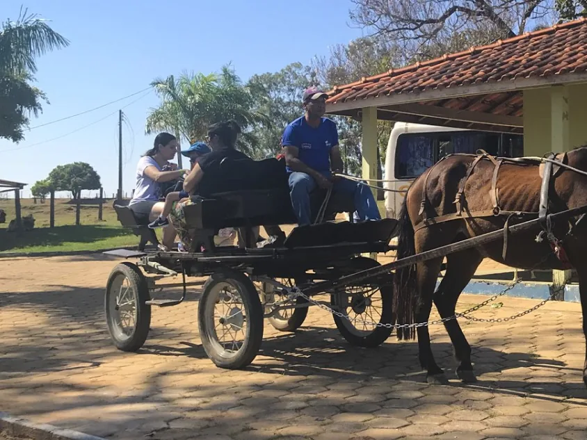 Charrete puxada a cavalo com hóspedes passeando no Campo Belo