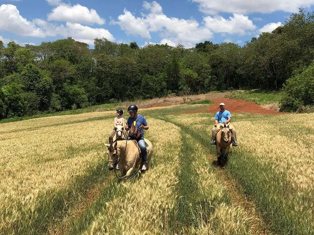 Três pessoas a cavalo atravessando um campo de trigo com a mata ao fundo