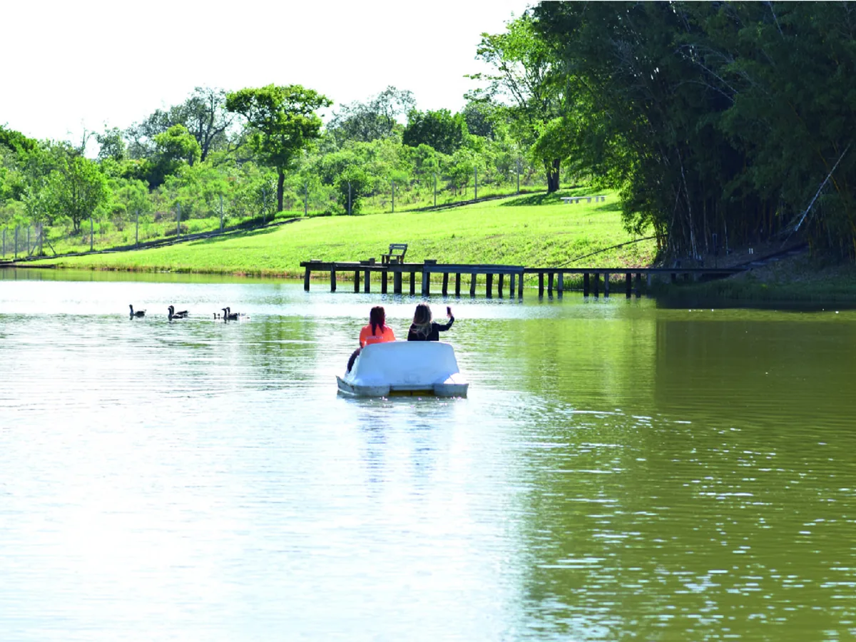 Pedalinho no lago do Vale das Águas, com píer de madeira e gramado ao fundo